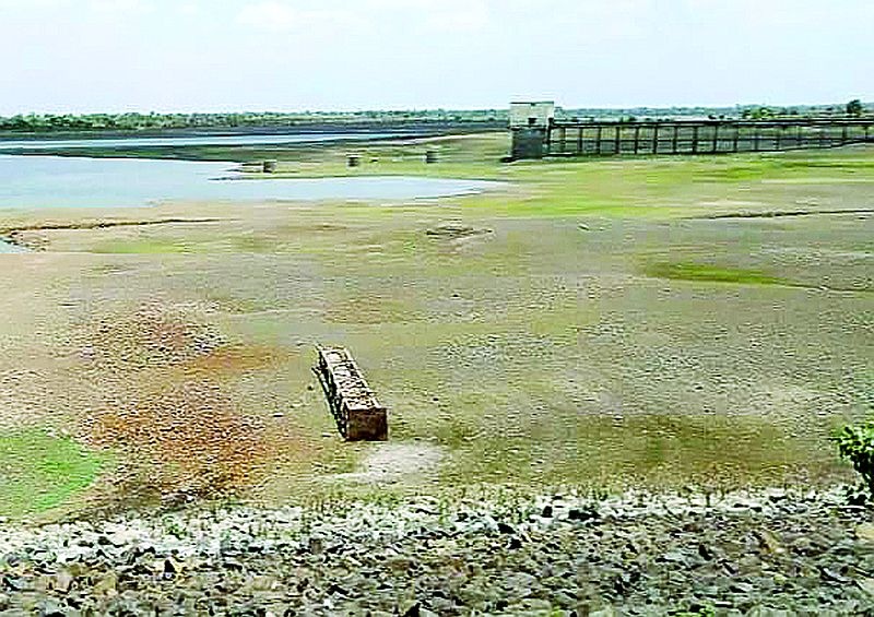 The dams in Washim is dry; Fishery business found in trouble! | धरणे कोरडीच; मत्स्यव्यवसाय सापडला संकटात!