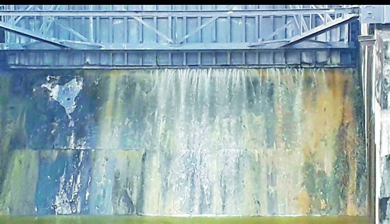Discharge of water below the dam gate | धरणाच्या गेट खालून पाण्याचा विसर्ग