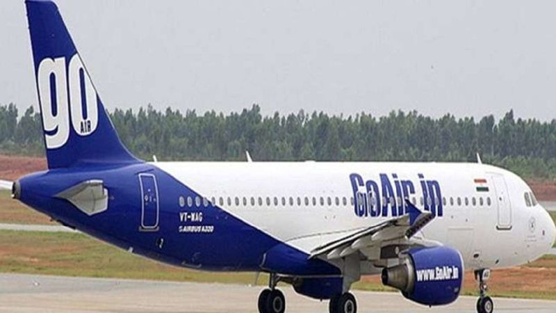 Accidental landing of Go Air flight on Nagpur Airport | गो एअरच्या विमानाचे नागपूर विमानतळावर आकस्मिक लॅण्डिंग