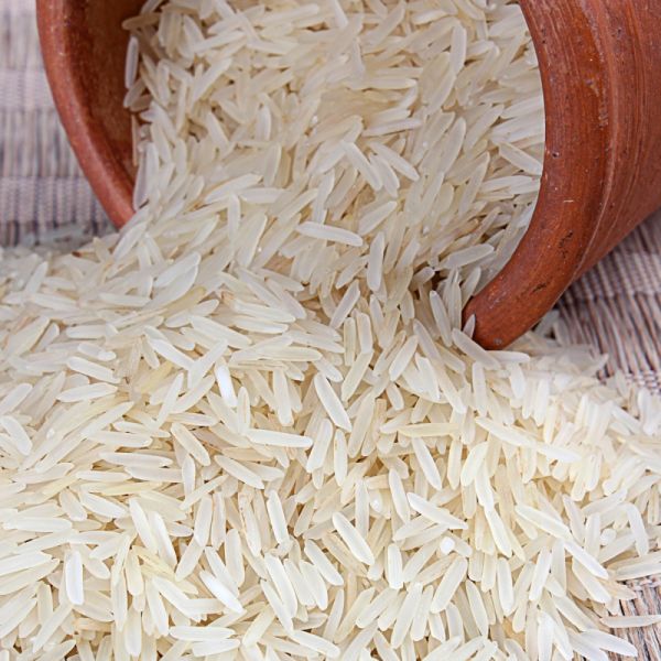 Chomorshi rice has reached Madhya Pradesh and Chhattisgarh state | चामोर्शीतील तांदूळ पोहोचला मध्यप्रदेश व छत्तीसगड राज्यात