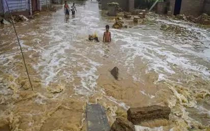 Pakistan Flows Dirty Water In Sutlej At Punjab Many Villeges Affecte | पाकच्या नापाक कुरापती! भारतीयांना नुकसान पोहचविण्यासाठी सतलज नदीत सोडलं दूषित पाणी