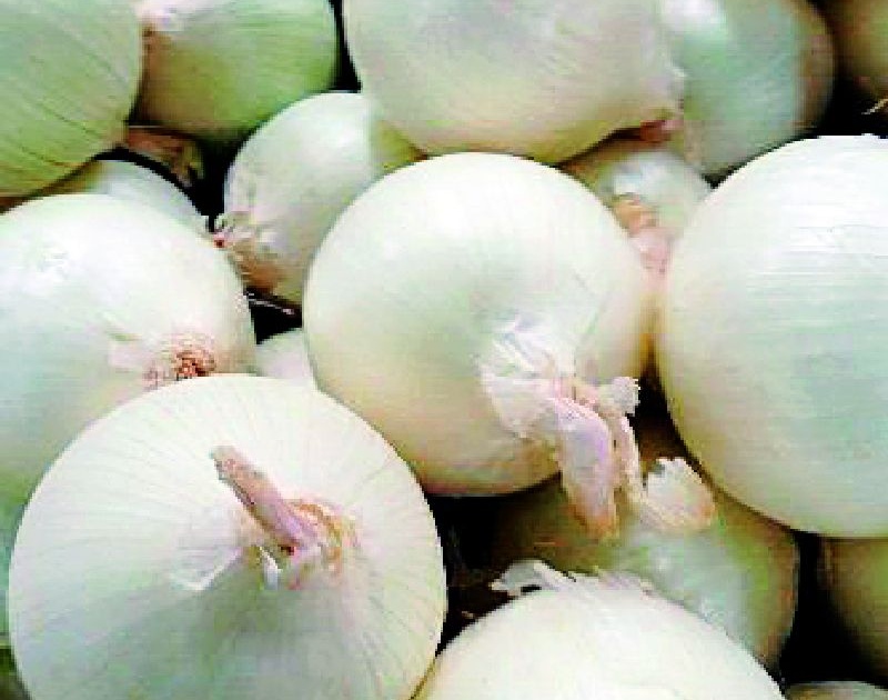 Onions are more expensive than petrol in Achalpur | अचलपुरात पेट्रोलपेक्षाही कांदे महाग