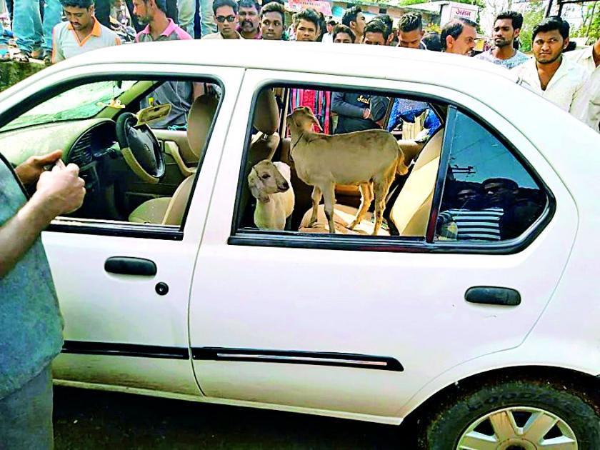 Gang-stolen goats from luxury car in Devadhi | आलिशान कारमधून शेळ्या चोरणारी टोळी देव्हाडीत जेरबंद