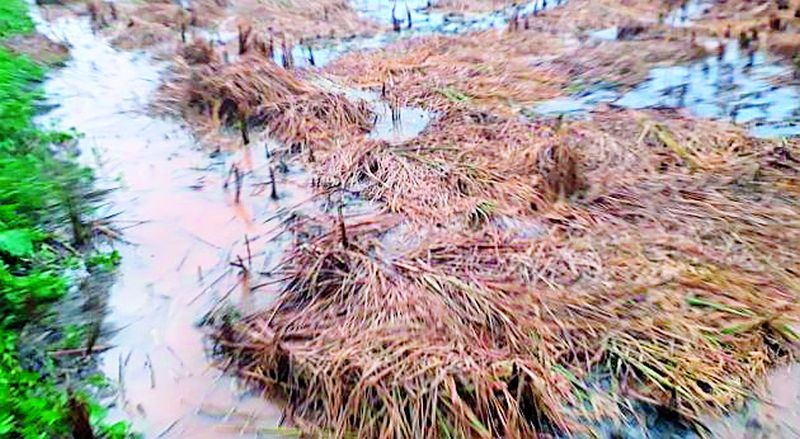 The return rains have affected the farmers | अन्‌ परतीच्या पावसाने केला शेतकऱ्यांचा घात