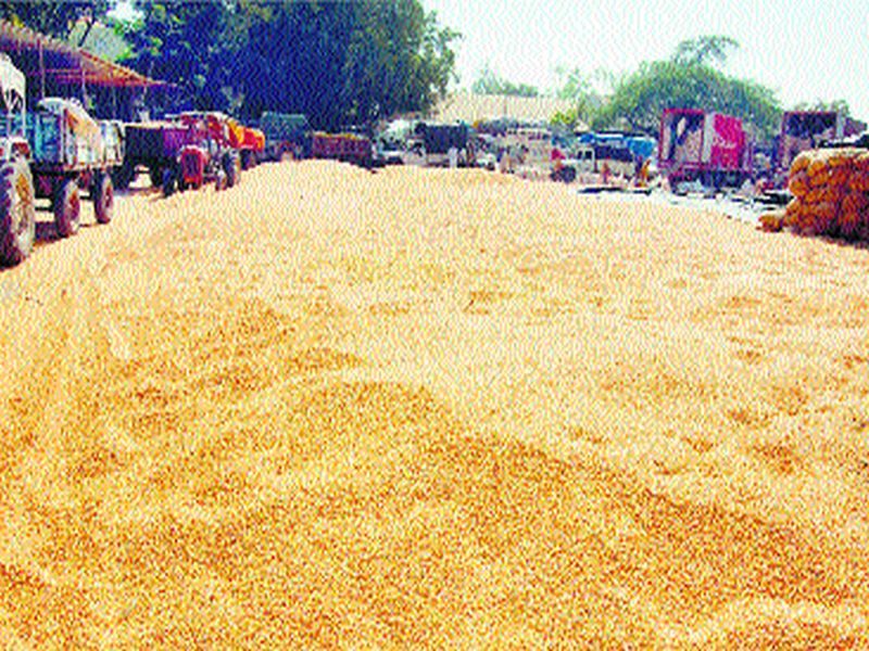 Closing of maize purchases in Yeola | येवल्यातील मका खरेदी बंद