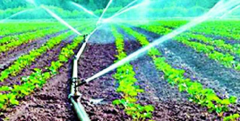 Farmers suicidal: 11 cases pending for rehabilitation | शेतकरी आत्महत्येची ११ प्रकरणे फेरचौकशीसाठी प्रलंबित