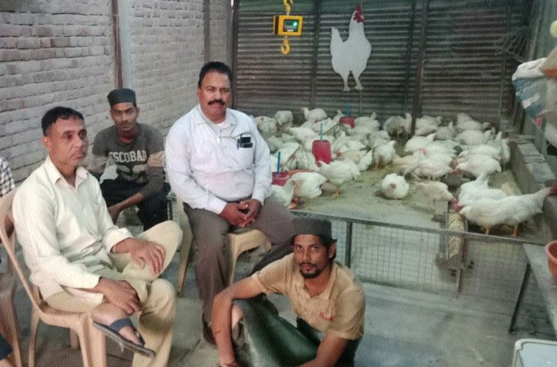 Hunger time on chickens professionals | कोबडी व्यावसायिकांवर उपासमारीची वेळ