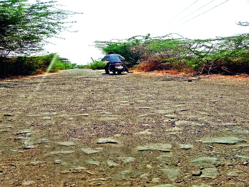 Niphad road disaster | निफाडच्या रस्त्यांची दुरवस्था