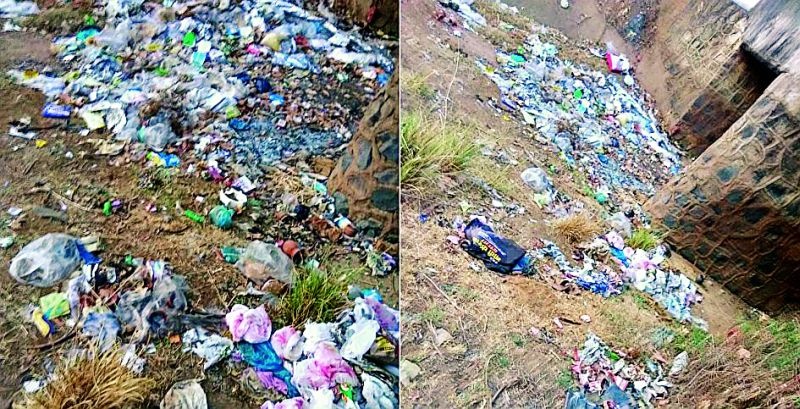 Garbage is being drained in the canal of Chamori district | चामोर्शीतील दिना धरणाच्या कालव्यात टाकला जाताहे कचरा