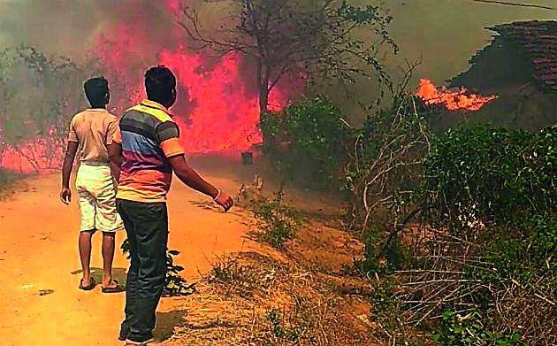 Fire broke out due to fire: Shankarpur incident | वनव्यामुळे लागली होती आग : शंकरपूर येथील घटना