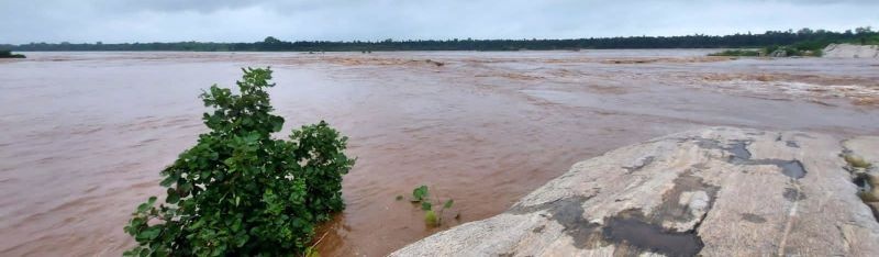 In Gondia district, the Bagh river crossed the danger level; Warning to the riverside villages | गोंदिया जिल्ह्यात बाघ नदीने धोक्याची पातळी ओलांडली; नदीकाठच्या गावांना सतर्कतेचा इशारा