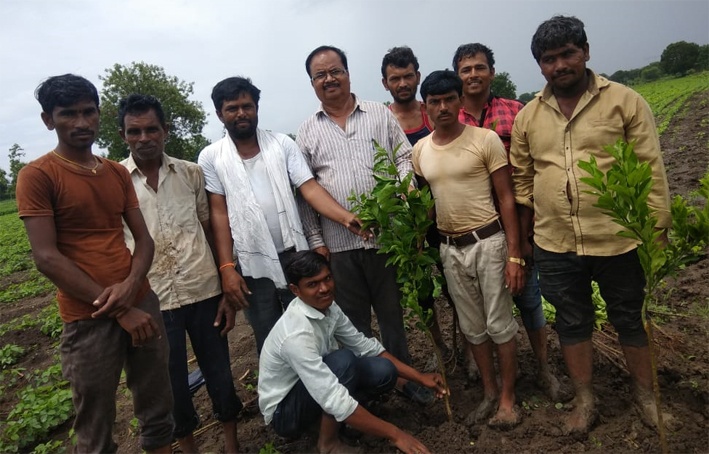 Planting of fruit trees from the Agriculture Department | कृषी विभागाकडून फळझाडांची लागवड
