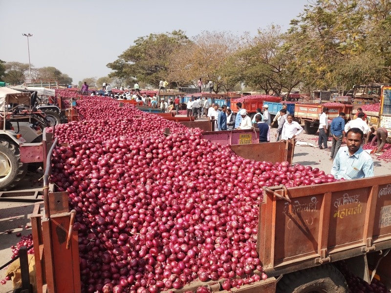 Onion prices fall by Rs. 5 in five days | पाच दिवसात कांदा दरात ८०० रुपयांची घसरण