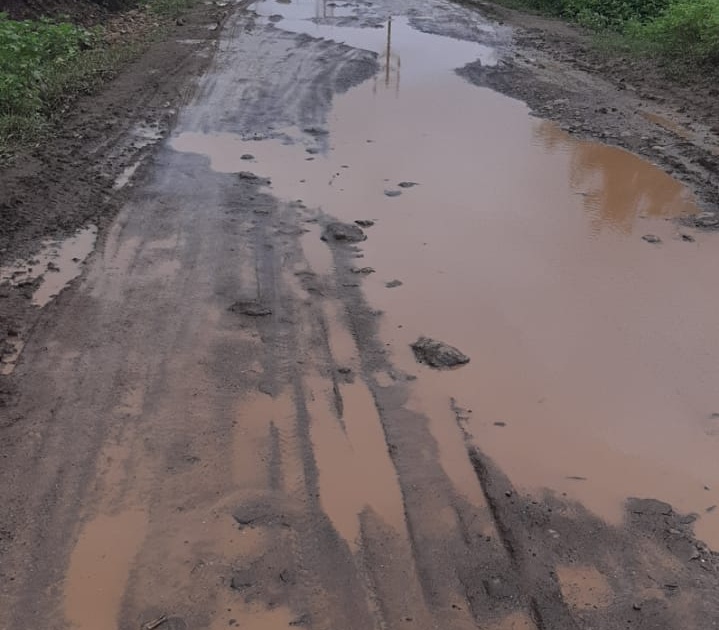 Massive mismanagement of Naigaon-Pimpalgaon road | नायगाव-पिंपळगाव रस्त्याची मोठया प्रमाणावर दुरवस्था