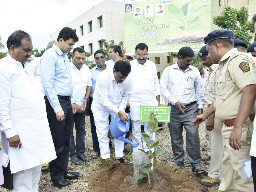 Plantation in Sangli District Collectorate | सांगली जिल्हाधिकारी कार्यालय परिसरात वृक्षारोपण