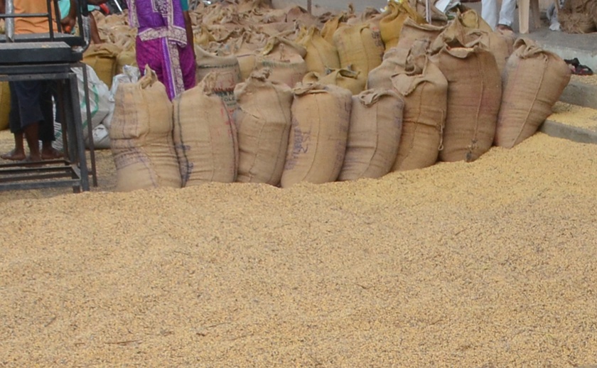 Parbhani: Highest prices for soybeans in Gangakhed Market Committee | परभणी : गंगाखेड बाजार समितीत सोयाबीनला सर्वोच्च भाव