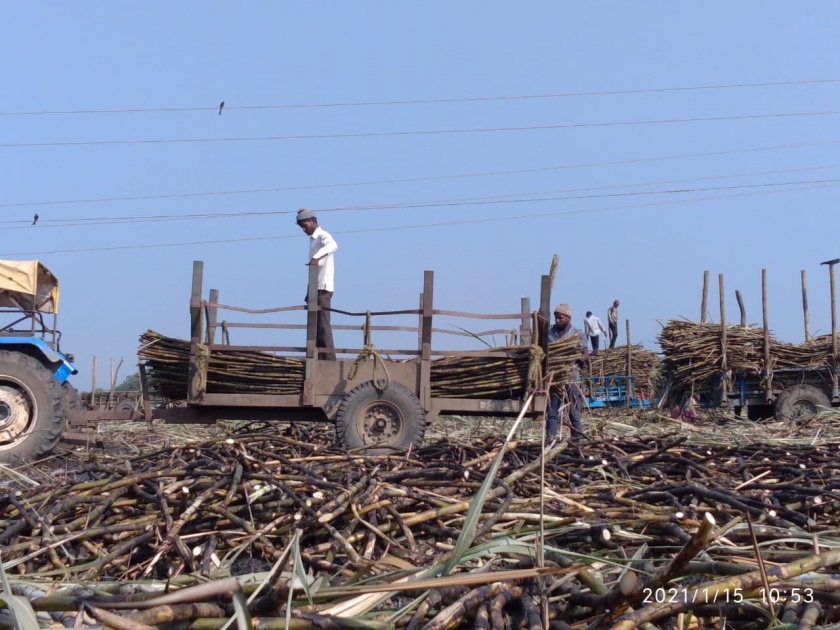 Burn three acres of sugarcane in a fire caused by a short circuit in Satna | सटाण्यात शॉर्टसर्किटमुळे लागलेल्या आगीत तीन एकर ऊस जळून खाक