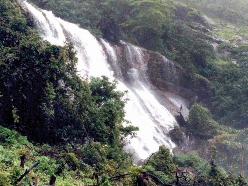 Asane waterfalls are the attraction of tourists, the likes of Banda and Sawantwadi with Goa | असनिये धबधबा बनतोय पर्यटकांचे आकर्षण, गोव्यासह बांदा, सावंतवाडीवासीयांची पसंती
