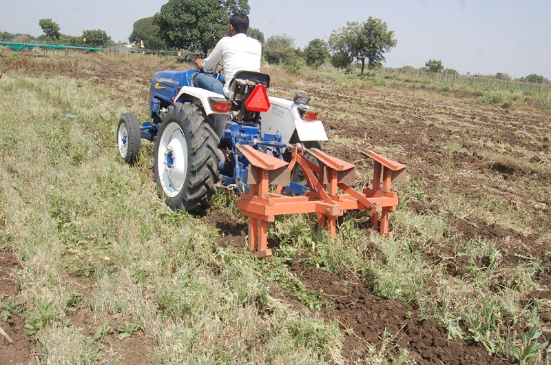Farmers revolted on onion tractor, risk of crops due to lack of rain in Solapur district | शेतकºयाने कांद्यावर फिरविला ट्रॅक्टर, सोलापूर जिल्ह्यात पावसाअभावी पिके धोक्यात