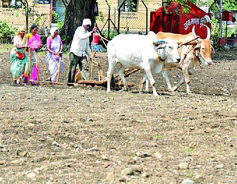 Sowing on two lakh hectares | दोन लाख हेक्टरवर पेरणी