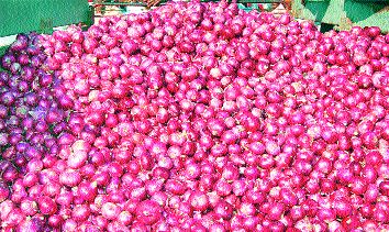  Onion prices are stable due to inward growth | आवक वाढल्याने कांद्याचे भाव स्थिर
