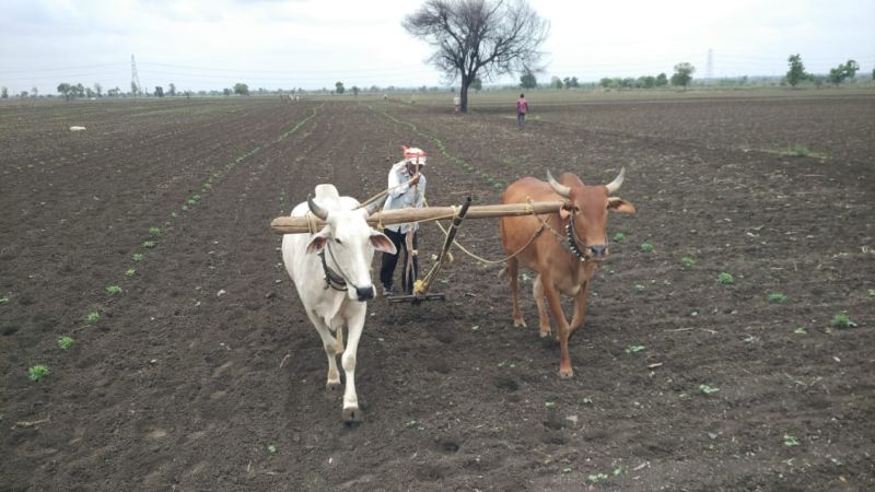 94 lakh farmers are eligible for the Sanman Dhan Yojana | सन्मानधन योजनेसाठी राज्यातील ९४ लाख शेतकरी पात्र