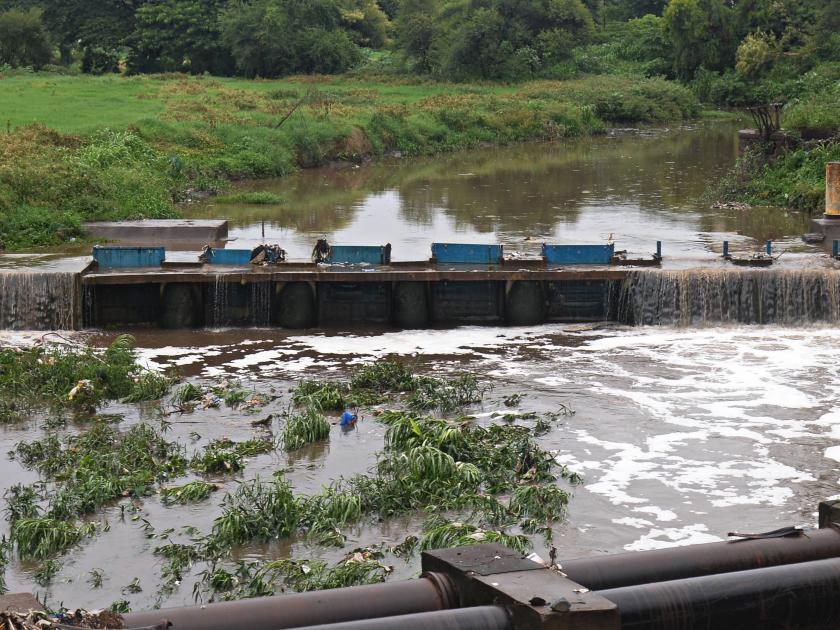 31.6 mm rainfall at Gaganbawda, 2 dams under water | गगनबावडा येथे 31.6 मिमी पाऊस, 2 बंधारे पाण्याखाली
