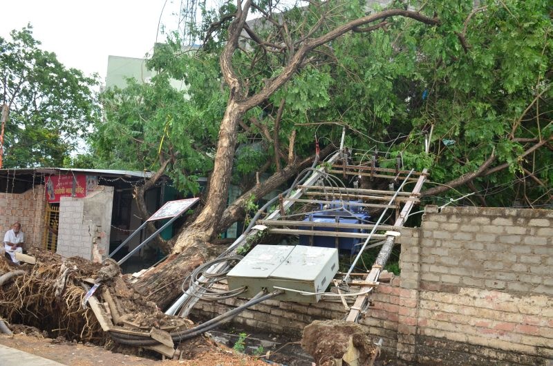 Tauktae Cyclone; Pre-monsoon rains along with storms hit Amravati city; The trees uprooted | Tauktae Cyclone; वादळासह मान्सूनपूर्व पावसाचा अमरावती शहराला तडाखा; झाडे उन्मळली