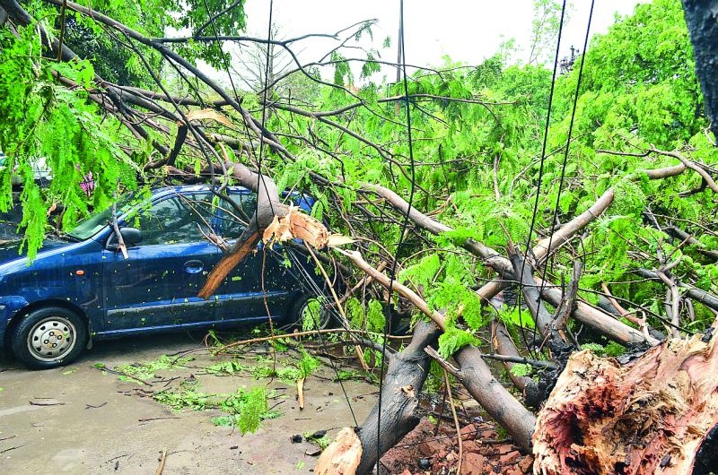 The storm hit the city, cars crushed under the trees | वादळाचा शहराला तडाखा, झाडांखाली दबल्या कार