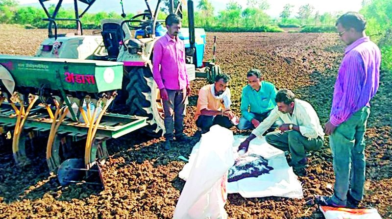 Paddy growers now rely on rabi crops | धान उत्पादक शेतकऱ्यांची भिस्त आता रब्बी पिकांवरच