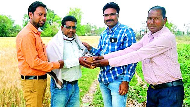 Felicitating the progressive farmer | प्रगतशील शेतकऱ्याचा सत्कार
