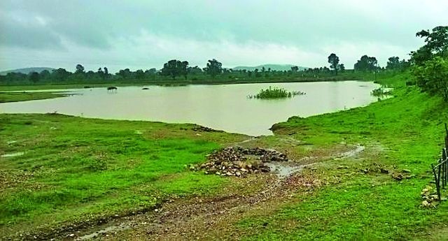 Malgujari lake in the district is not worthless | जिल्ह्यातील मालगुजारी तलाव निरूपयोगी
