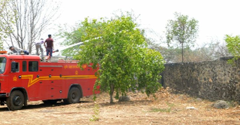 Fire brimble trees, luckily avoided harm | धुळ्यात काटेरी झुडूपांना आग, सुदैवाने हानी टळली