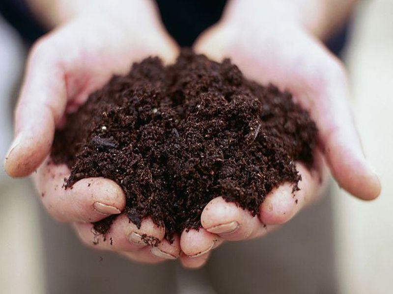 Dhule District Agricultural Department took 29 thousand samples of soil | धुळे जिल्हा कृषी विभागाने घेतले मातीचे २९ हजार नमुने