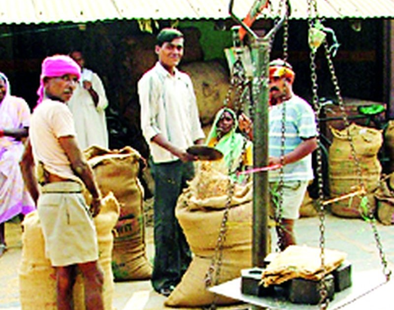 The cultivation of sugarcane is recorded on Satbara is Paddy | लागवड उसाची सातबारावर नोंद धानाची
