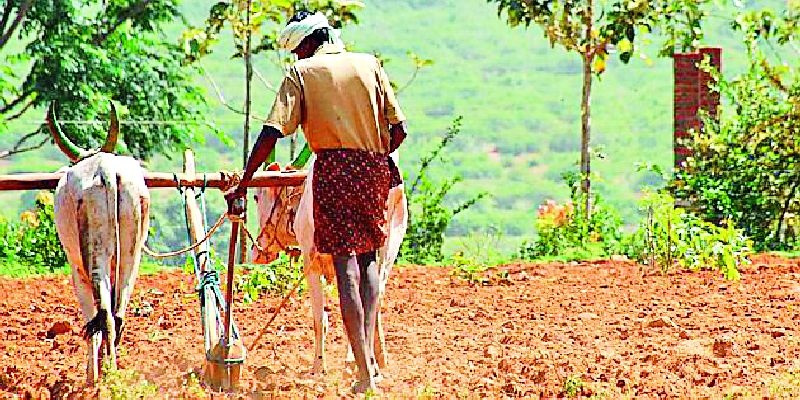 Crop loan allocation to 18 thousand farmers | १८ हजार शेतकऱ्यांना पीक कर्जाचे वाटप