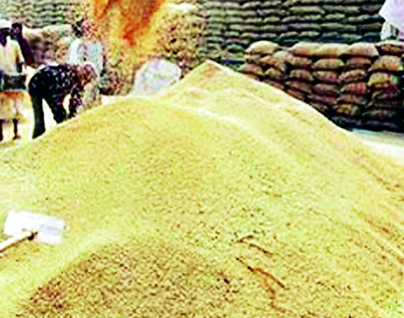 Where to develop two lakh quintals of rice paddy? | दोन लाख क्विंटल पाखड धान विकायचा कुठे?
