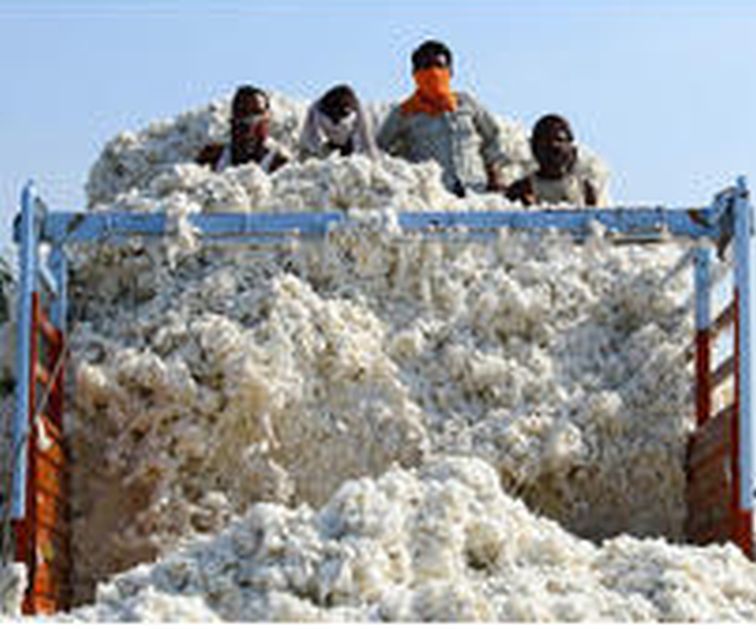 CCI buys cotton in district | जिल्ह्यात सीसीआयची कापूस खरेदी ‘सुसाट’