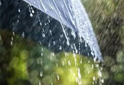 Rain in Jalgaon district for the second day | जळगाव जिल्ह्यात दुसऱ्या दिवशीही पाऊस