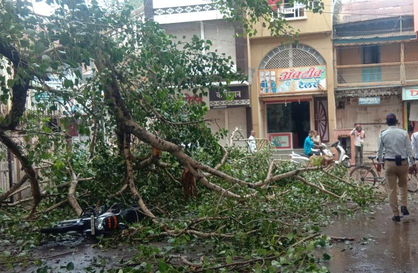 Due to the collapse of broken tree branches in Manik Chowk, traffic restriction | माणिक चौकात जीर्ण झाडाच्या फांद्या तुटल्याने वाहतूकीची कोंडी