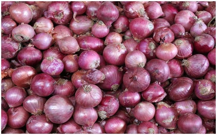  Demand for cancellation of storage limit, including lifting of onion export ban | कांदा निर्यातबंदी उठविण्यासह साठवणूक मर्यादा रद्दची मागणी