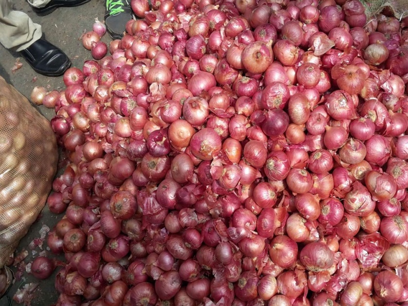 Summer onion harvest begins in Khamkhheda area | खामखेडा परिसरात उन्हाळी कांदा काढणीस सुरवात