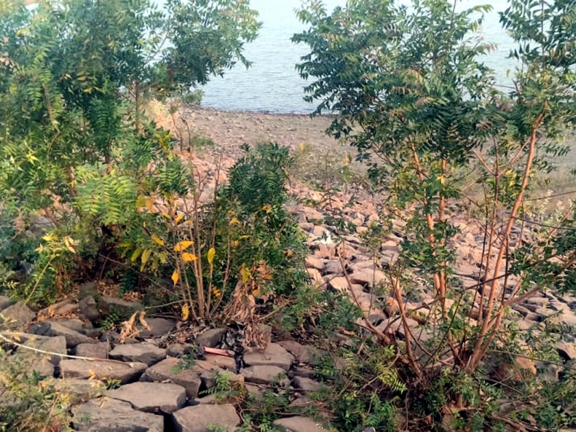 Parbhani: Yeladri dams collapsed | परभणी:येलदरी धरणाचे दगड ढासळू लागले
