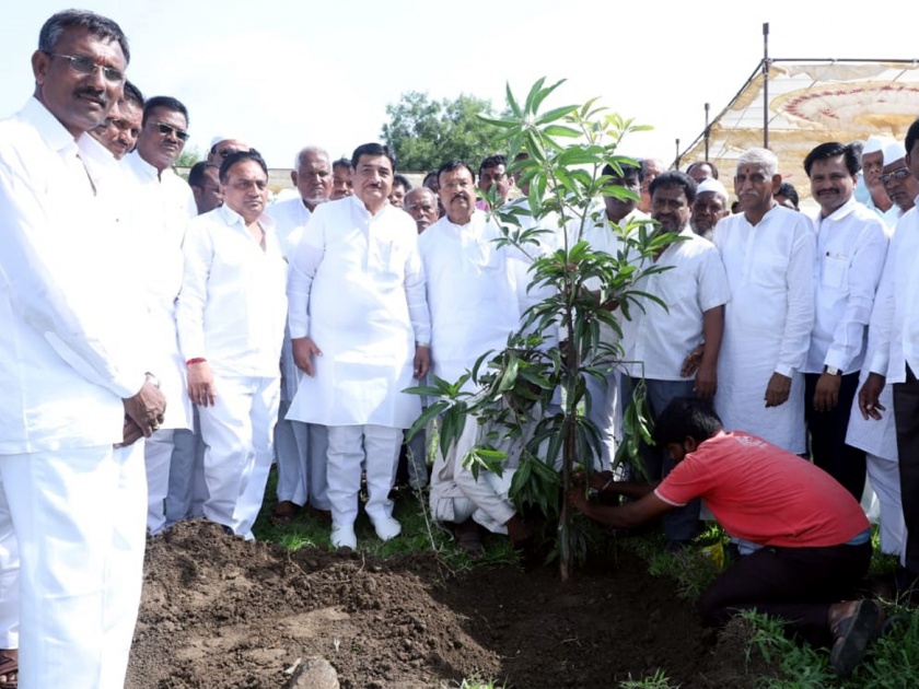 Parbhani: Planting of one thousand trees in the slab | परभणी : पाथरीत एक हजार झाडांची दुतर्फा लागवड
