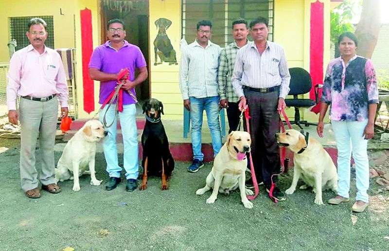 Dogs, five dogs serving in the bomb search squad | श्वान, बॉम्ब शोध पथकात पाच श्वान देताहेत सेवा