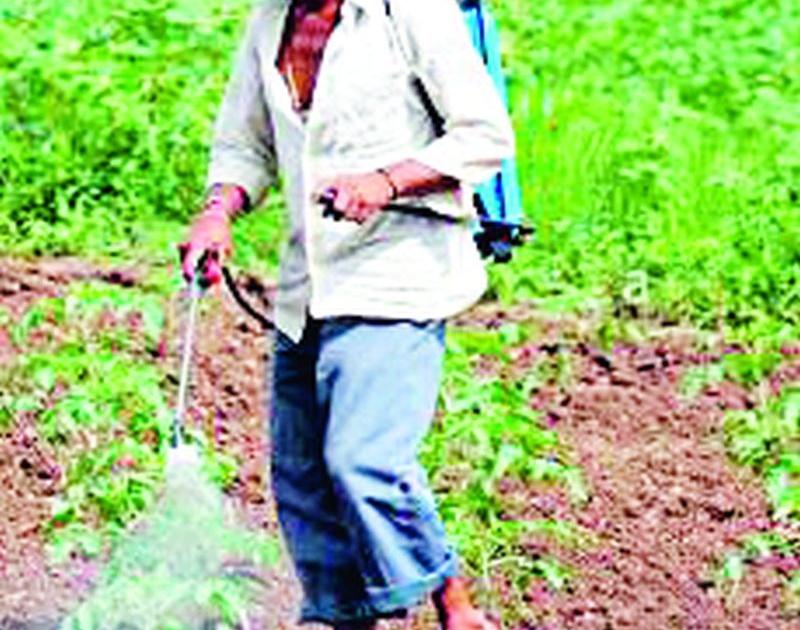 Poisoning of 20 farmers and farm laborers | २० शेतकरी-शेतमजुरांना विषबाधा