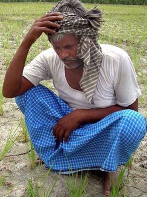 'Wait and watch' for farmers' in Gondia district | गोंदिया जिल्ह्यात शेतकऱ्यांचे कर्जमाफीसाठी ‘वेट अ‍ॅण्ड वॉच’