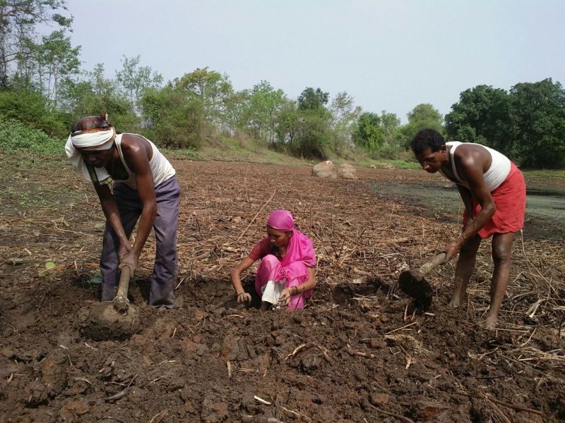 35 thousand farmers of Amravati district are in financial trouble | अमरावती जिल्ह्यातील ३५ हजार शेतकरी आर्थिक संकटात