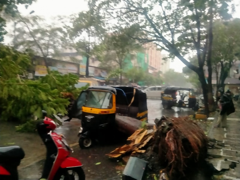 Tauktae Cyclone In Mira Bhayandar More than 80 trees were uprooted | Tauktae Cyclone : मीरा-भाईंदरमध्ये तौत्के चक्रीवादळाचा कहर; ८० पेक्षा जास्त झाडे उन्मळून पडली, घरांचे उडाले पत्रे 