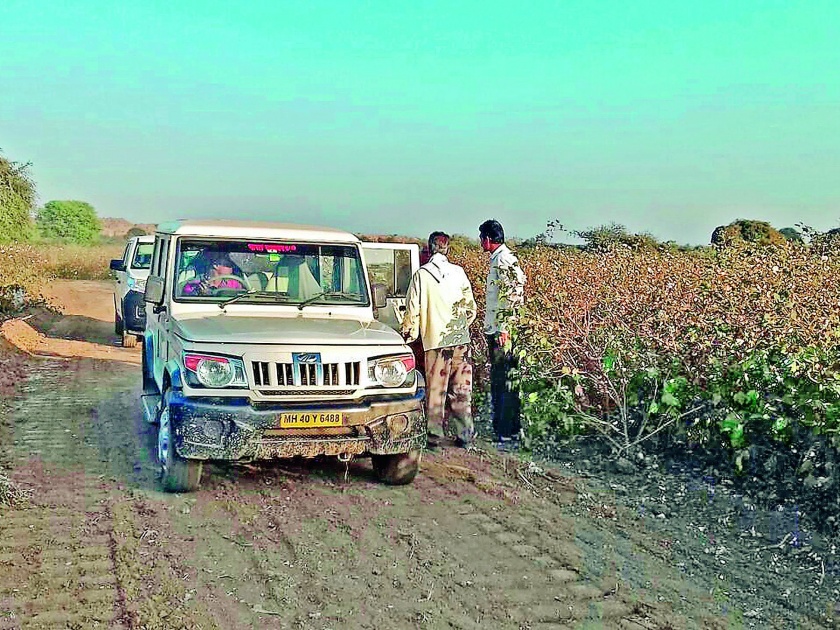 WCL officials cut the cotton crop for road in Nagpur district | नागपूर जिल्ह्यात वेकोली अधिकाऱ्यांनी कापसाचे उभे पीक कापून बनवला रस्ता